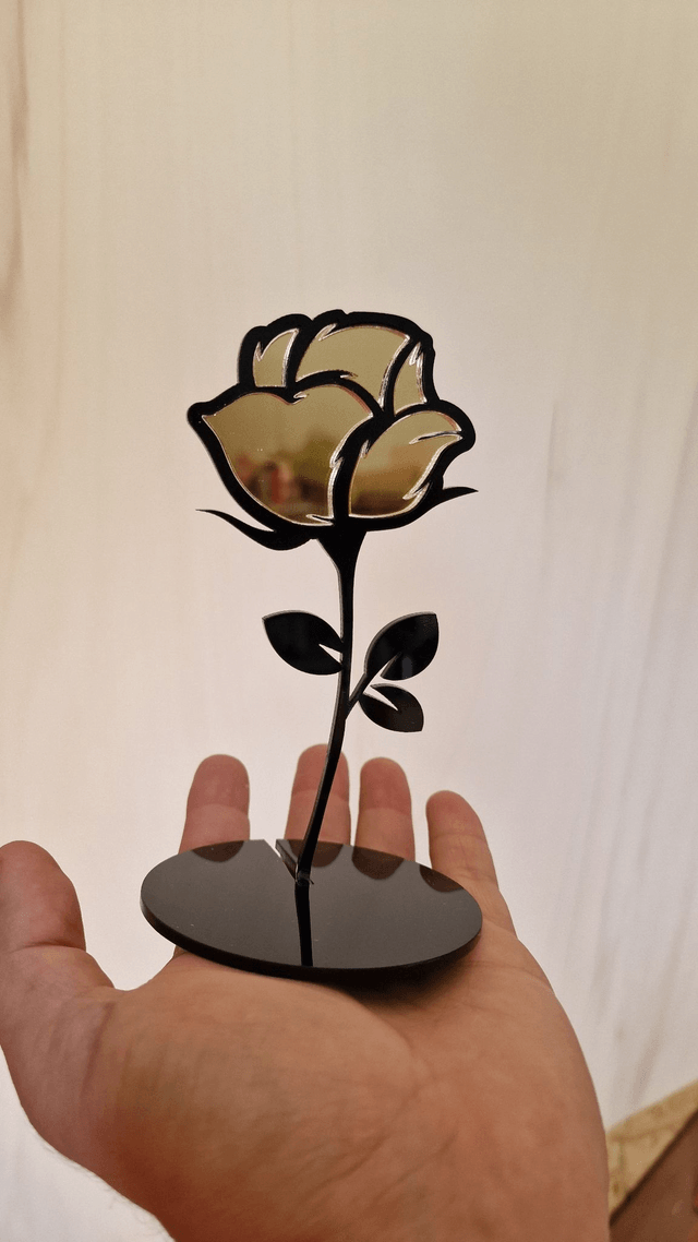 Rosa in Plexiglass
