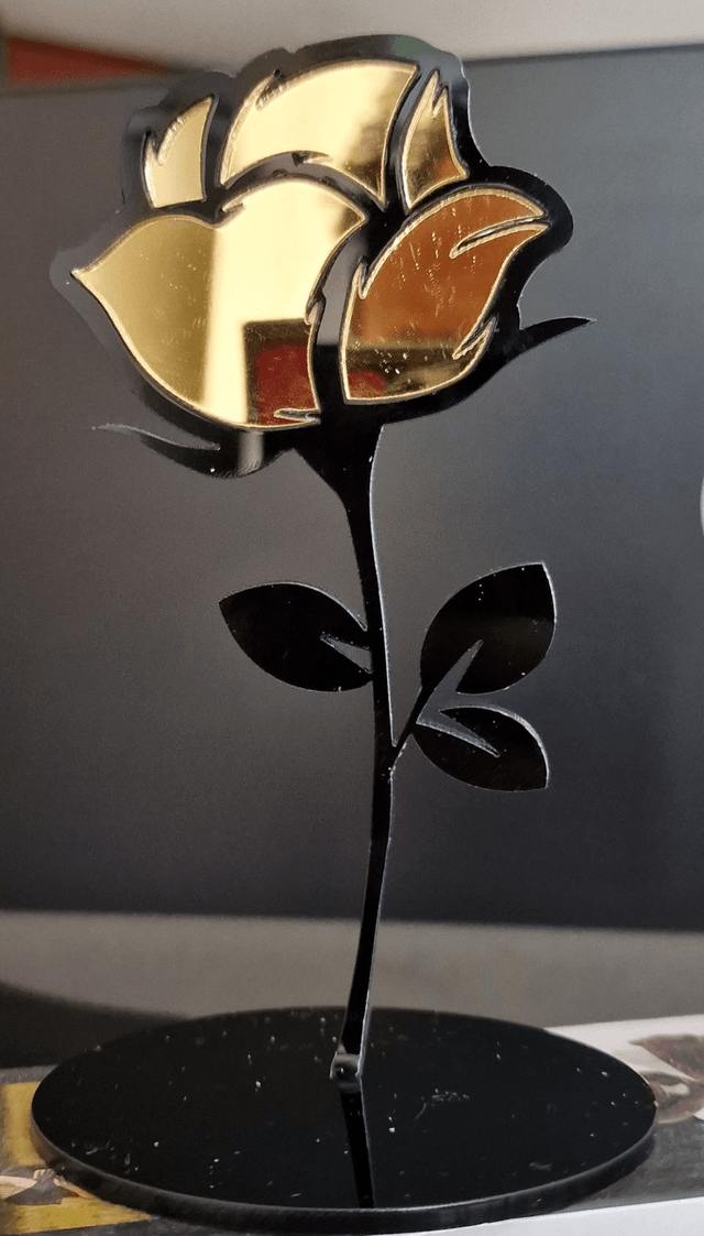 Rosa in Plexiglass